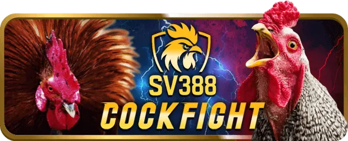 Đá Gà Trực Tiếp Sumvip5